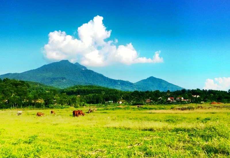 TN ĐÚNG SAI  TẬP HƠP(2024)