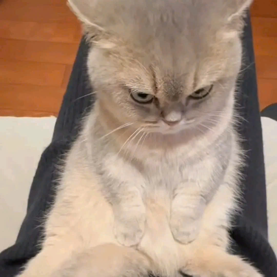 Đề ôn sinh ngắn gọn súc tích nè