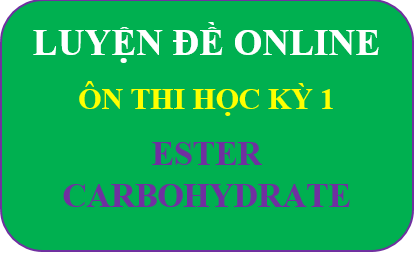 ESTER - CARBOHYDRATE_HK1