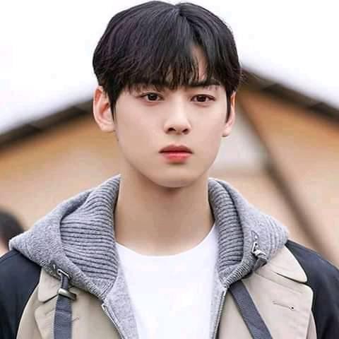 ĐỀ CƯƠNG ÔN TẬP CUỐI HỌC KÌ 1- SINH HỌC 12-2025-2026