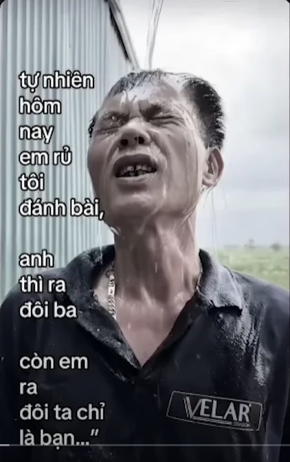 thi đeo được 10/10 là chó cali