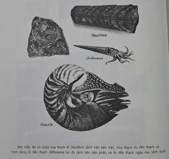 KIỂM TRA THƯỜNG XUYÊN BS1 HK2 MÔN SINH HỌC 12