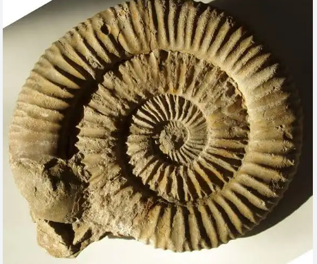 KIỂM TRA THƯỜNG XUYÊN HK2 MÔN SINH 12