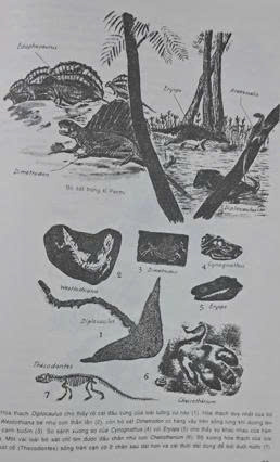 KTTX BS1 HK2 MÔN SINH HỌC 12 