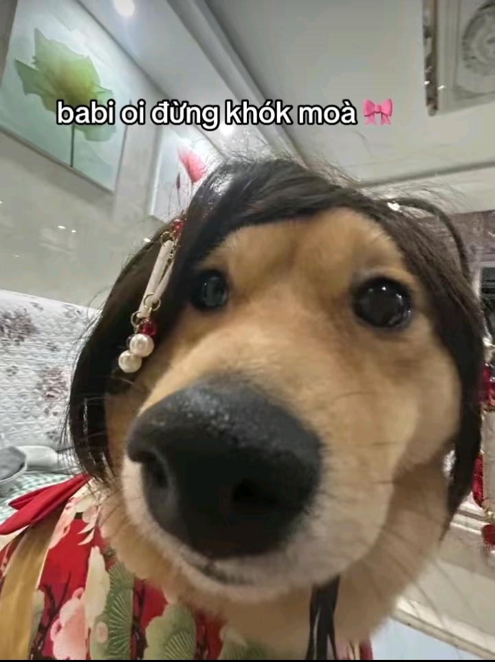 Sink cóa đún sey trọnk tro kỹ