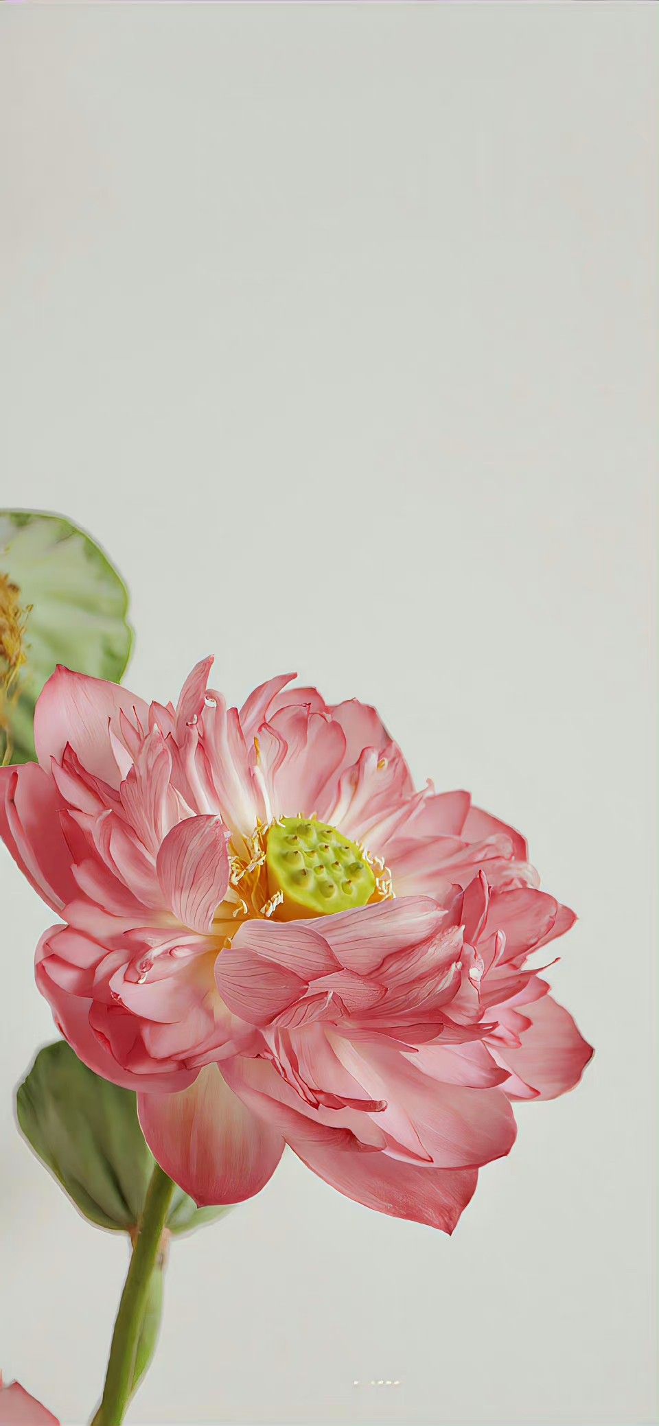 14.Đánh giá cảm quan