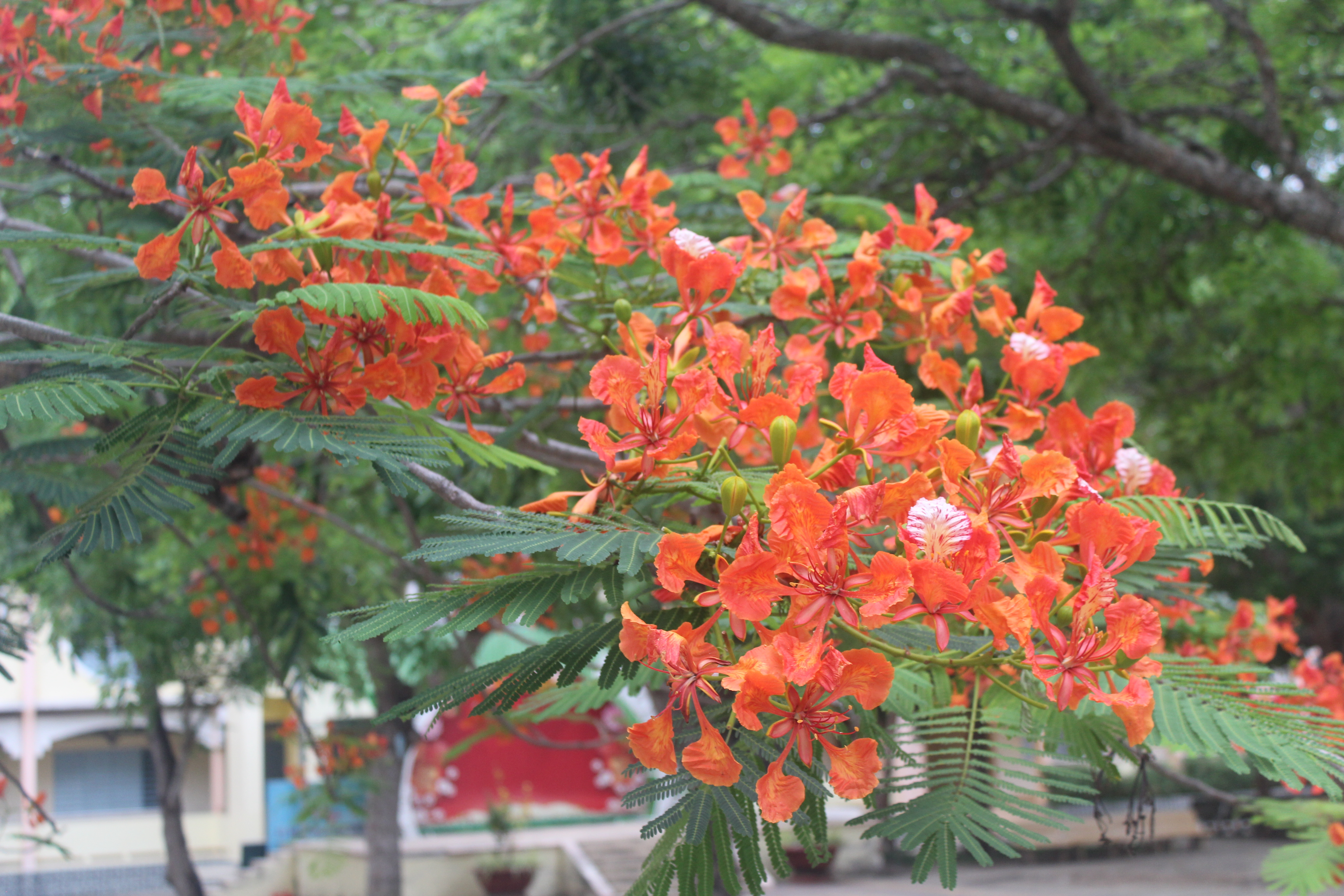 ÔN TẬP KT-TX L4 NH 2025-2026