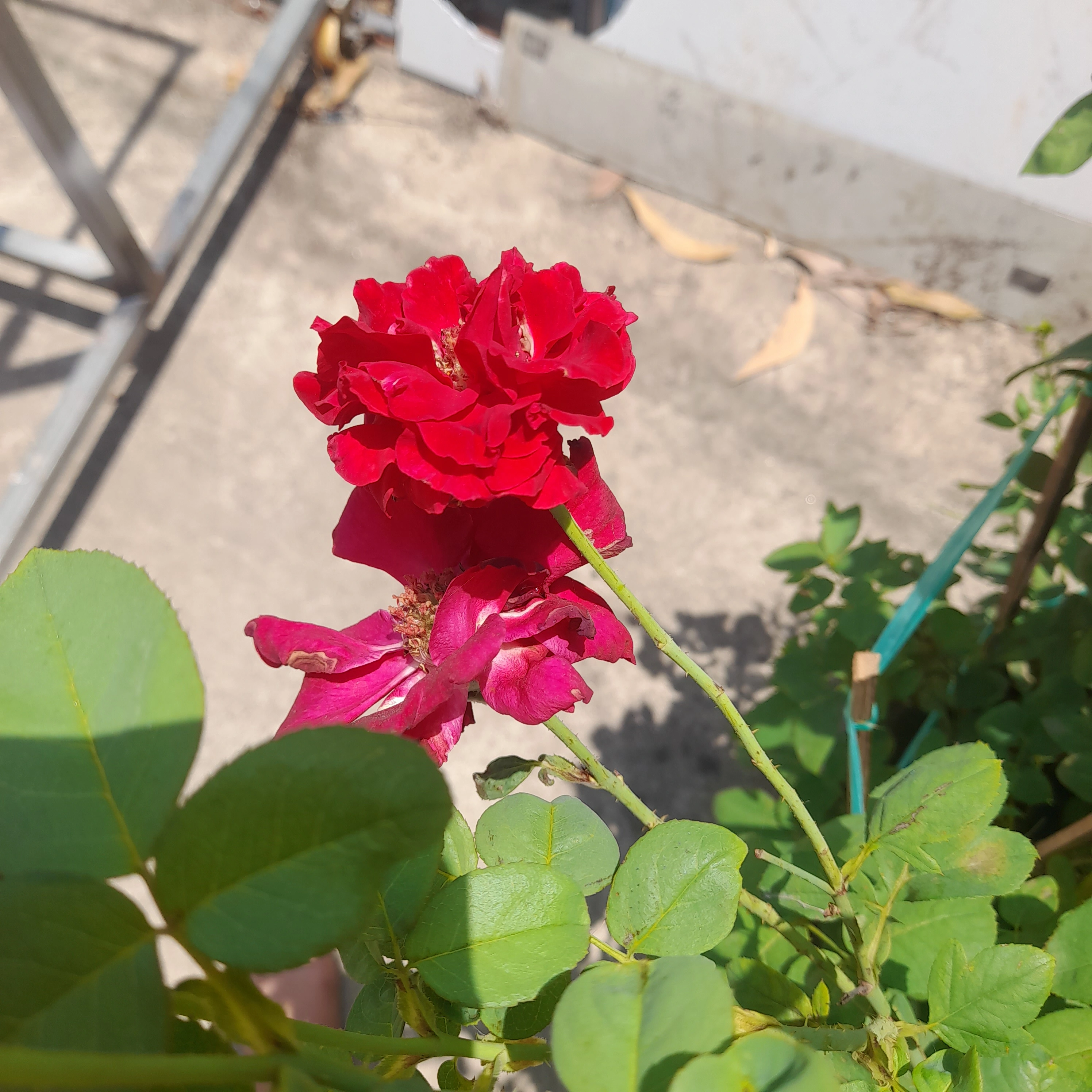 Hgngotttt998q73dgddgdgsbahwbeb