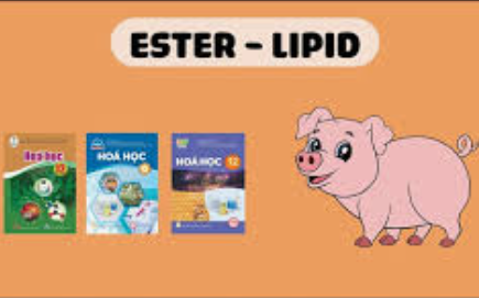 ĐỀ ÔN ESTER-CHẤT BÉO