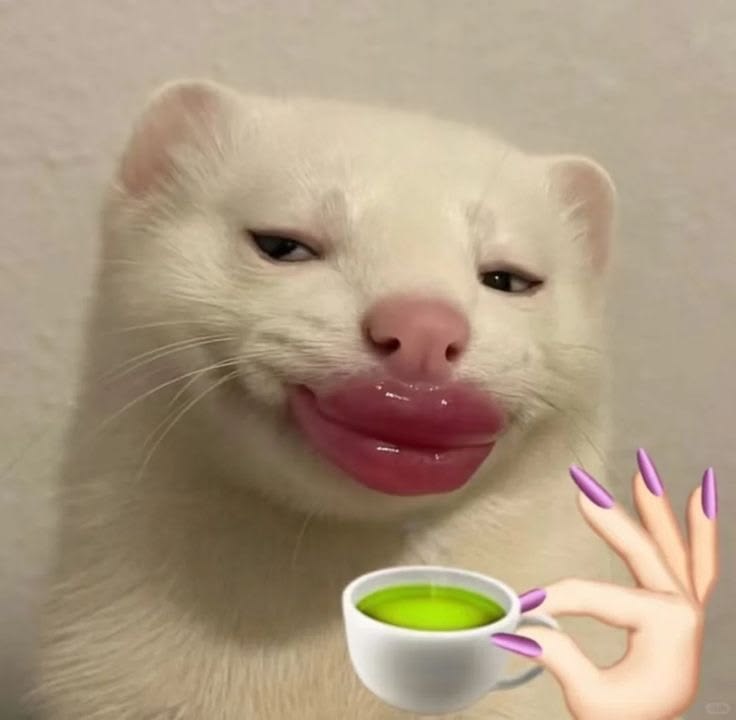 bài 16 sử cuối ki2