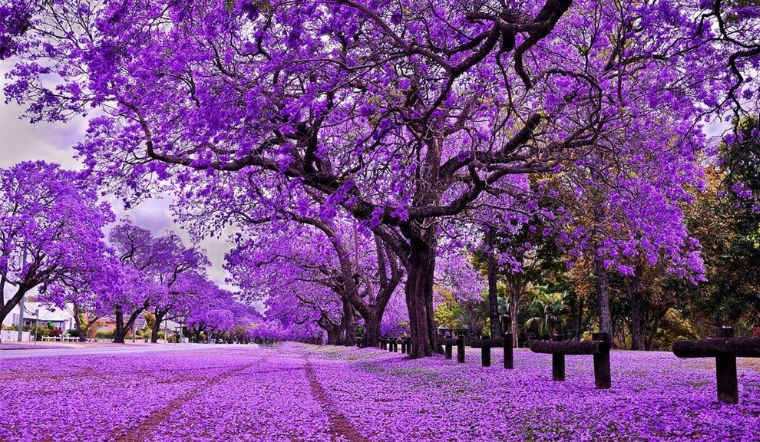 THỰC HÀNH ÔN TỐT NGHIỆP (Buổi 6: Kháng chiến chống Mỹ (1954-1975))