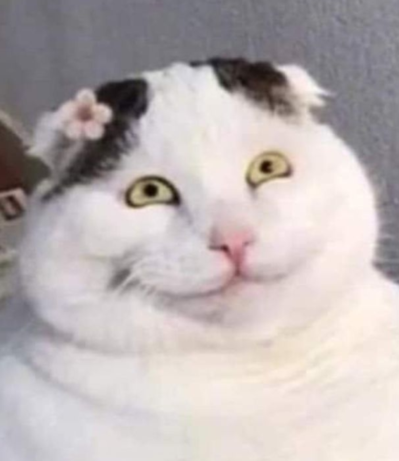 Trắc nhiệm anh văn cuối kì