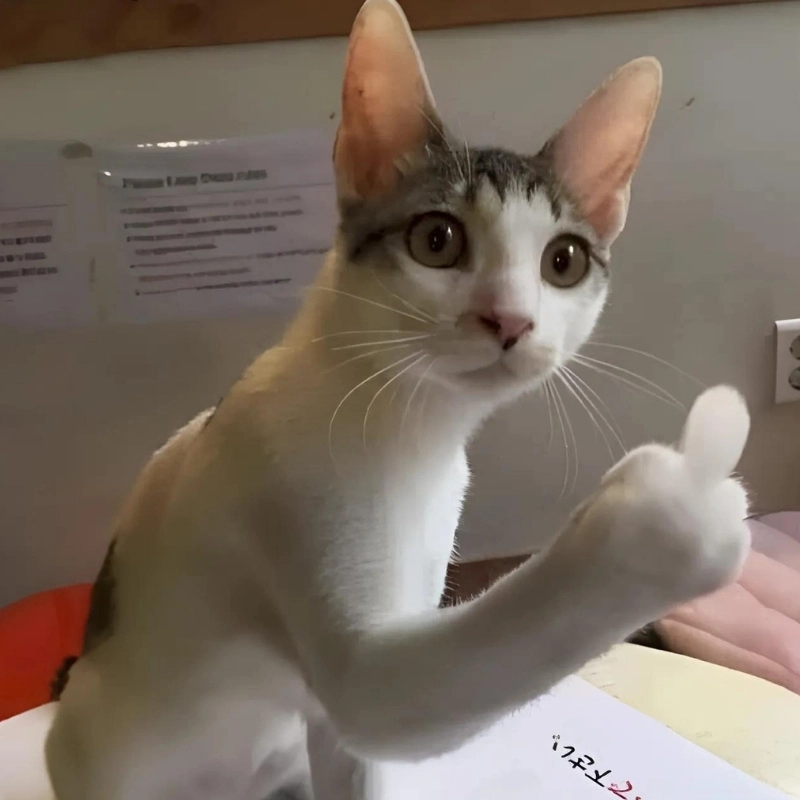 LỊCH SỬ CUỐI KÌ 2